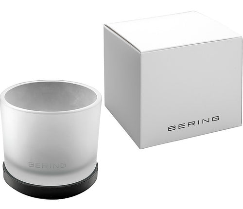 BERING Mod. 17031-334